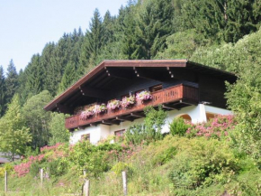 Отель Ferienwohnung Hans Ebner, Эбен